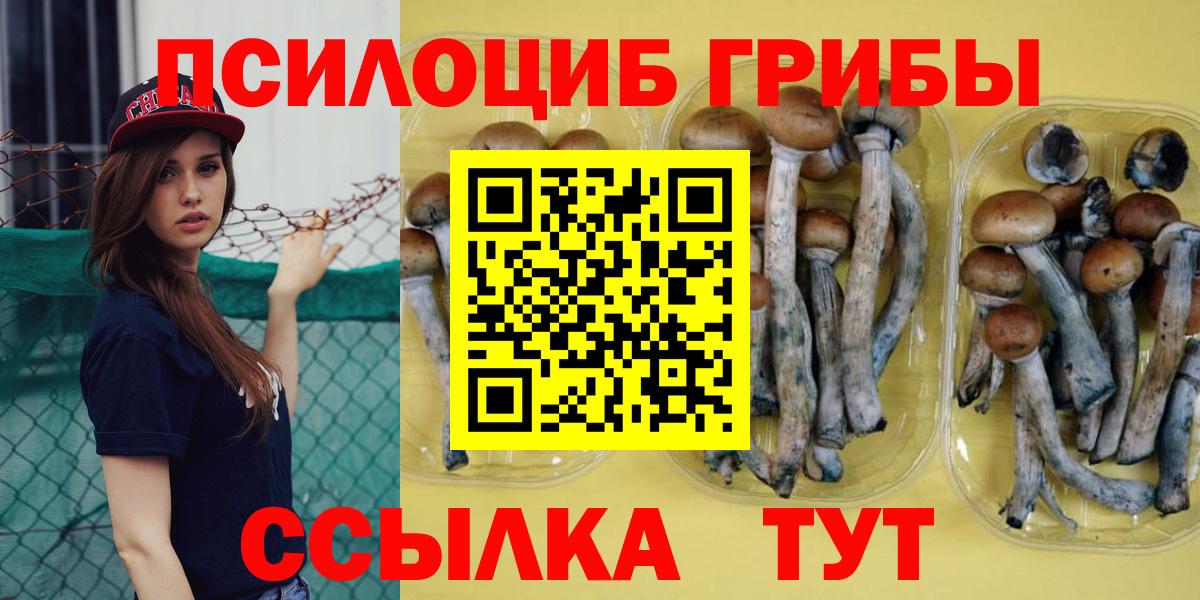 Ухта  Псилоцибиновые грибы Magic Shrooms  Псилоцибиновые грибы прущие грибы  Вход с VPN 